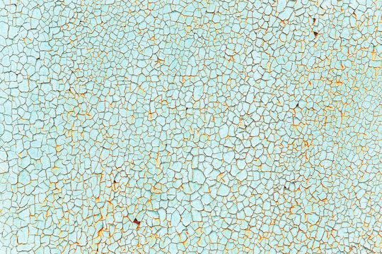 Crackles of paint on the old green wall.