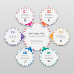 Vector infographic template
