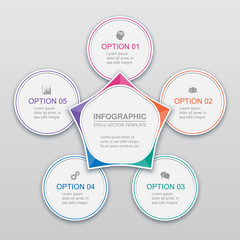 Vector infographic template