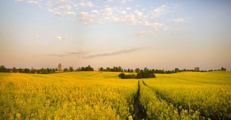 Wiosenne pola w niemczech © Mike Mareen
