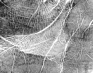 Handprint, as background