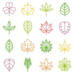Fototapeta premium leaf icons set, thin line vector