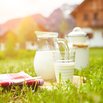 dish of milk standing on the grass in the background alps