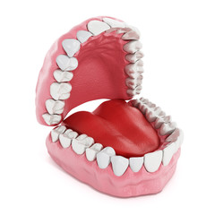Artificial teeth and lung model. 3D illustration.
