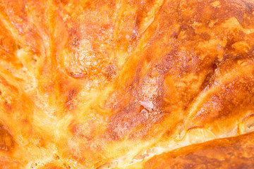 Obraz na płótnie Canvas Closeup of chicken pie crust.