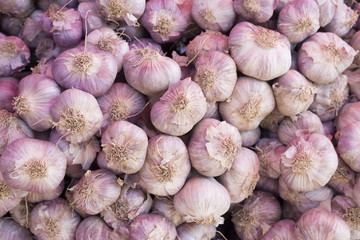 garlic