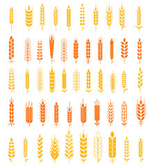 Wheat Ears Icons and Logo Set Natural Product Company and Farm Company Organic wheat, bread agriculture and natural eat.