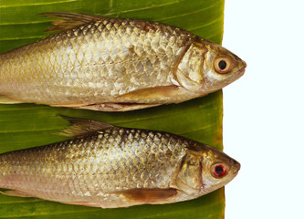 Freshwater fish  with green banana leaf.  