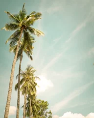 Velvet curtains Palm tree Coconut palm tree on tropical beach in summer - vintage colour effect