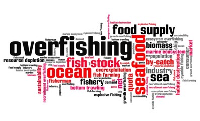 Overfishing - word cloud concept