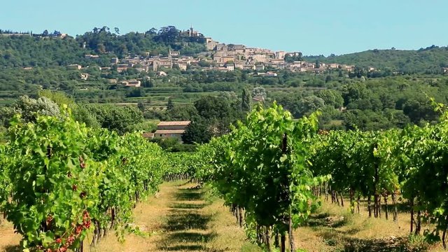 Vignobles en Lub&eacute;ron