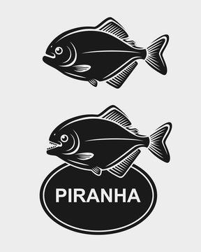 Piranha set. Vector