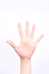 finger hand symbols isolated concept stop block or five points on the white background