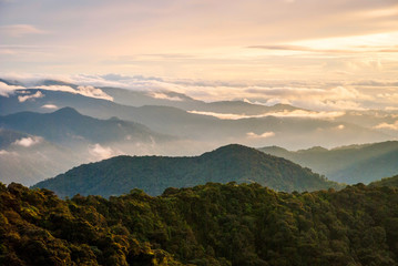 Sunrise over jungle in cameron highlands, Malaysia