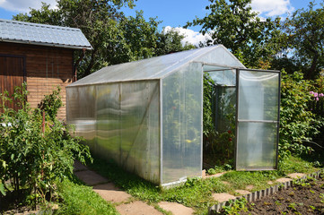 Greenhouse with tomato plants in back garden