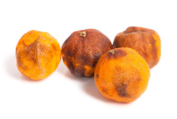 Group of rotten oranges