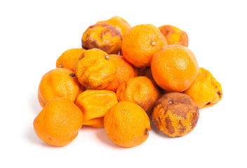 Group of rotten oranges