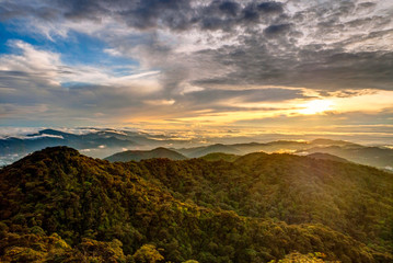 Fototapeta na wymiar Sunrise over jungle in cameron highlands, Malaysia
