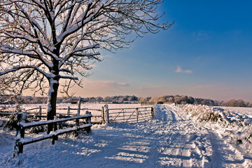Winter scene in East Grinstead