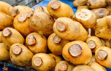 Selective focus of lotus roots sale at a street market in Thailand