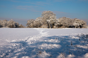 Winter scene in East Grinstead