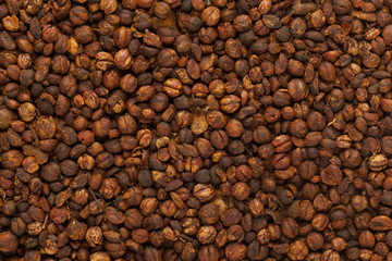 Organic Black oil plant or Climbing staff tree or Malkangani or Jyotishmati (Celastrus paniculatus) seeds. Macro closeup background texture.