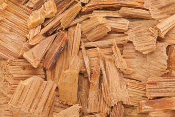 Himalayan cedar or Devadar (Cedrus deodara) Chips. Macro close up background texture. Top view.