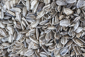 Sunflower seeds background