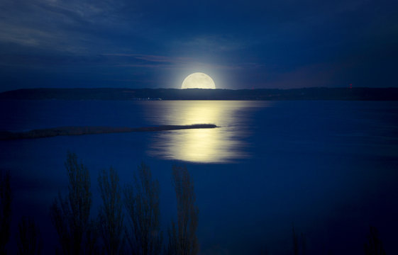 Moonlight