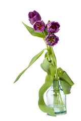 violet tulips on crystal vase