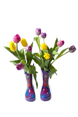 tulip flowers in wellington boots