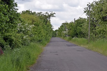 Plakat Straße durch den Spreewald
