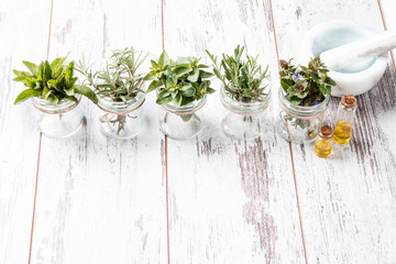 Herbs on wooden background. Mint, thyme, balm and other medicinal herbs