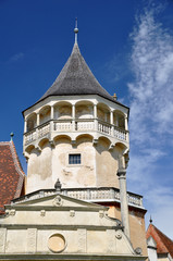 Fototapeta na wymiar tower castle Rosenburg