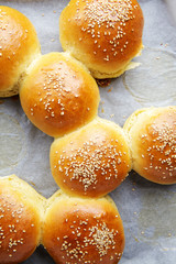 Tasty buns with sesame on oven-tray
