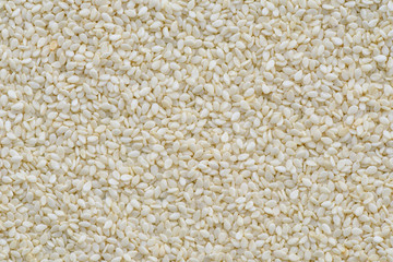 White sesame seed background