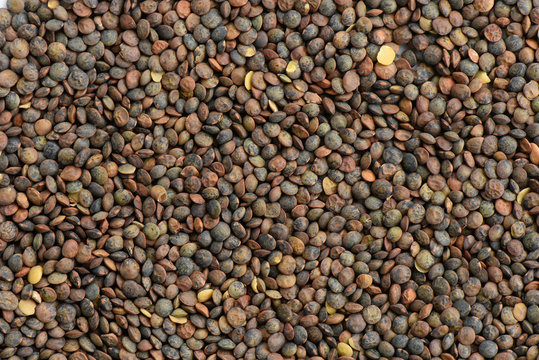 Organics lentils background