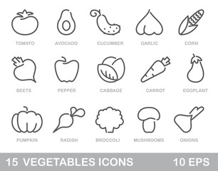 Vegetables icons. Vector contour illustration