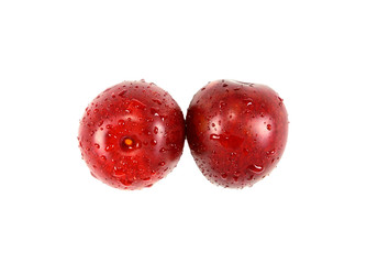 Two ripe juicy plum