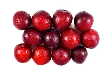 Ripe juicy plum
