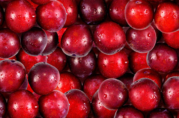Ripe juicy plum