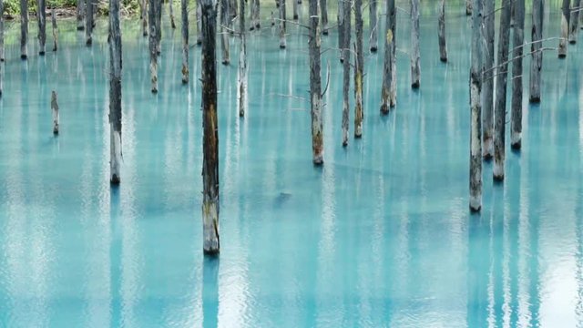 Blue pond / japan hokkaido biei
