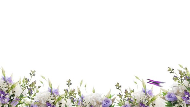 Bouquet of blue irises, white flowers and butterfly. Footage with alpha channel. File format - mov. Codec - PNG+Alpha