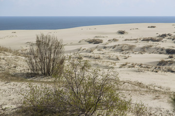 Kurshskaya kosa, Kaliningrad Region, Russia