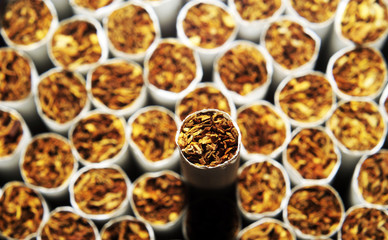 Heap of Tobacco Cigarettes, stack as a background texture, close up from the front