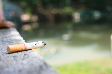 Disposable cigarette