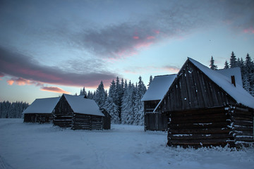 Wooden houses in the winter forest