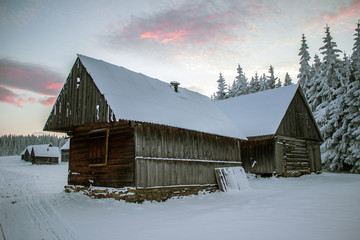 Wooden house in the winter forest