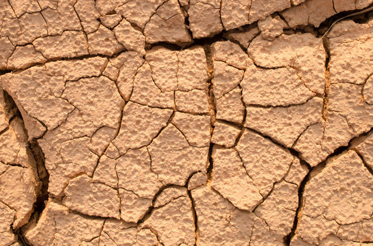 Close up dry crack soil texture background.
