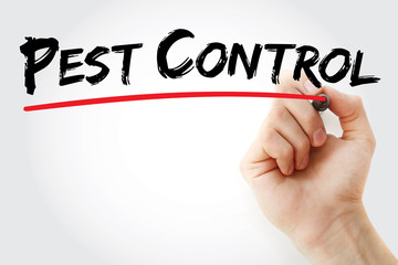 Hand writing Pest Control with marker, concept background